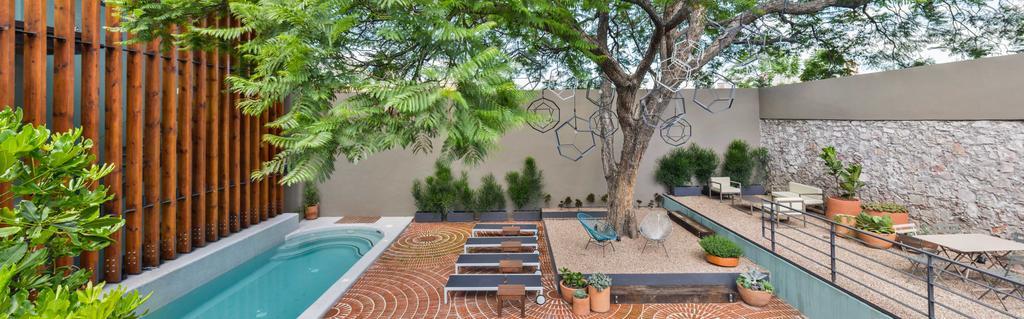 Criol 5* Queretaro